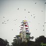 Штормовая погода в Приморье продержится три дня