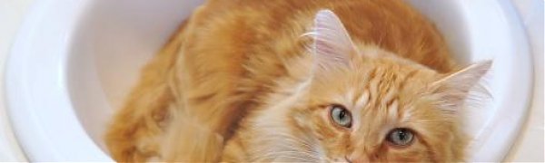 В некоторых домах Владивостока горячей воды не будет до 22 сентября