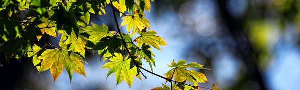 Погода в Приморье в выходные: осенние ночи и летние дни