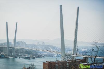 Чем дышал Владивосток с 12 по 20 января? Чем дышал Владивосток с 12 по 20 января?