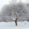 Крещенские морозы в Приморье