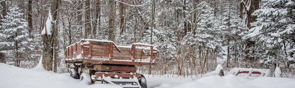Активный циклон ухудшит погоду в Приморье в четверг