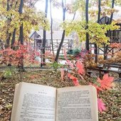 Устройте себе маленькие каникулы в комплексе отдыха «Маяк»!