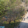 Владивосток: Осенние прогулки