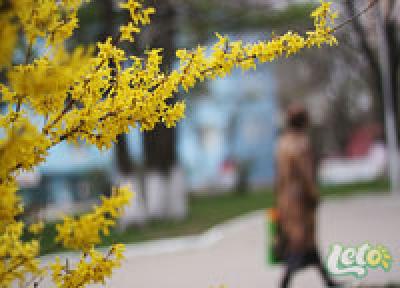 Какая погода ожидает нас на выходные дни?