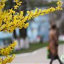 Какая погода ожидает нас на выходные дни?