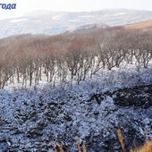 Затишье перед бурей: в Приморье солнечно и маловетрено