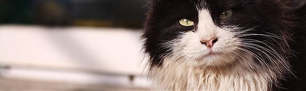 Затишье перед бурей: в Приморье солнечно и маловетрено