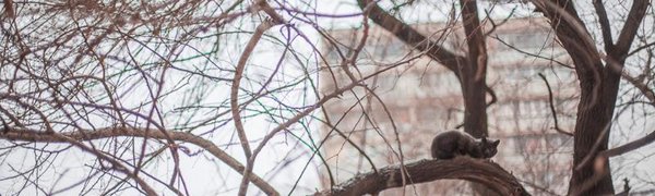 В выходные в Приморье станет теплее, возможен небольшой снег