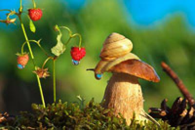 Поднимаем настроение: Сказочная природа Поднимаем настроение: Сказочная природа