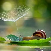 Поднимаем настроение: Сказочная природа