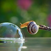 Поднимаем настроение: Сказочная природа