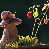Поднимаем настроение: Сказочная природа