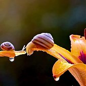 Поднимаем настроение: Сказочная природа