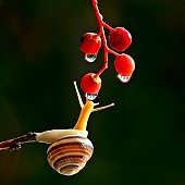 Поднимаем настроение: Сказочная природа