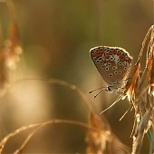 Поднимаем настроение: Сказочная природа