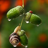 Поднимаем настроение: Сказочная природа