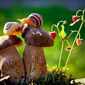 Поднимаем настроение: Сказочная природа