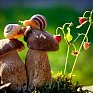 Поднимаем настроение: Сказочная природа