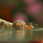 Поднимаем настроение: Сказочная природа
