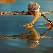 Поднимаем настроение: Сказочная природа