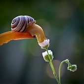Поднимаем настроение: Сказочная природа