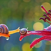 Поднимаем настроение: Сказочная природа