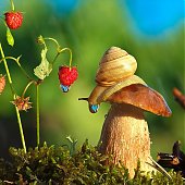 Поднимаем настроение: Сказочная природа