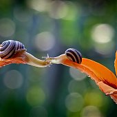 Поднимаем настроение: Сказочная природа
