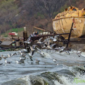 Завтра в Приморье пройдут небольшие и умеренные дожди