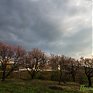 Завтра в Приморье пройдут небольшие и умеренные дожди