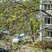 Апрель в Приморье завершается солнечной погодой