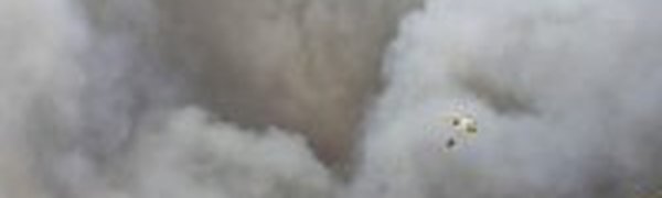 Крупнейший в истории острова пожар бушует на Ибице