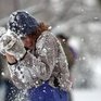 Снежная битва в Познани собрала несколько сотен человек