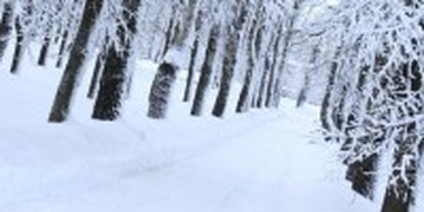 В конце недели во Владивостоке сильно похолодает