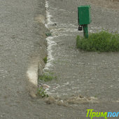 Дожди, дожди(ФОТО)