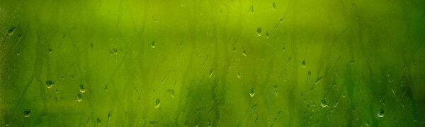В Приморье небольшие дожди и понижение температуры