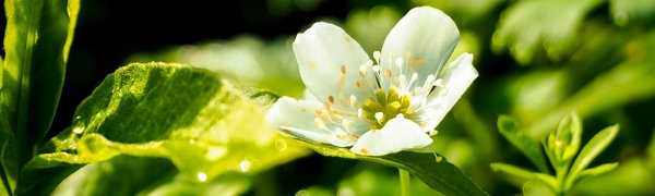 Третья декада мая в Приморском крае выдалась умеренно теплой
