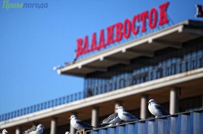 На этой неделе погода в Приморье будет неустойчивой