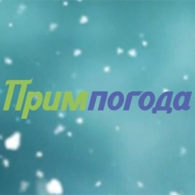 Определены победители конкурса «Угадай дату первого снега во Владивостоке!»