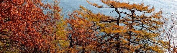 Ноябрь в Приморье начался с небольших осадков и похолодания 