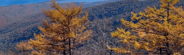 Ноябрь в Приморье начнётся с похолодания и осадков. Прогноз погоды на неделю