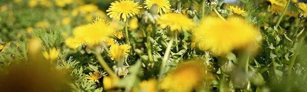 Синоптики рассказали, какая погода ожидается в Приморье в первые выходные лета