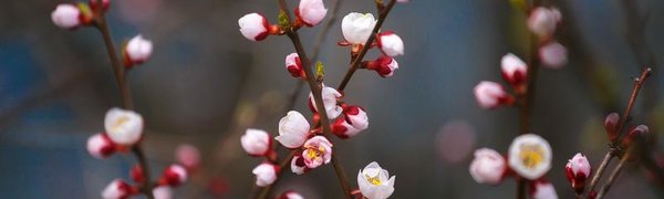  Циклоны обеспечат неустойчивую погоду на предстоящей неделе в Приморье