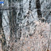 В начале марта в Приморье задержатся морозные ночи
