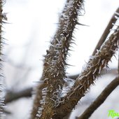 В начале марта в Приморье задержатся морозные ночи