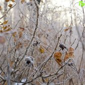 В начале марта в Приморье задержатся морозные ночи
