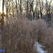 В начале марта в Приморье задержатся морозные ночи