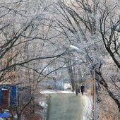 В начале марта в Приморье задержатся морозные ночи