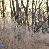 В начале марта в Приморье задержатся морозные ночи